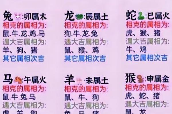 十二生肖配对 揭秘十二生肖旺财养对旺财宠物