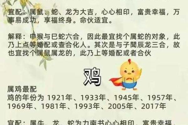 生肖查询：1996年属什么生肖配对