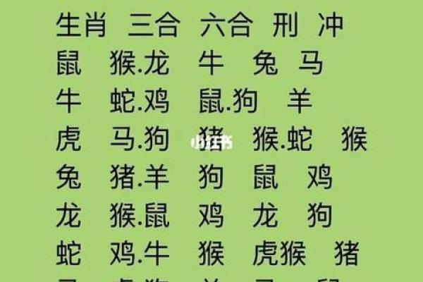 生肖查询：1996年属什么生肖配对