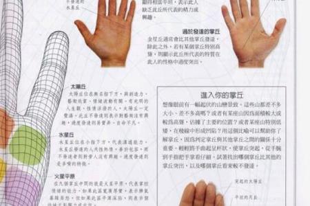 《手相学习百科》：手的形状