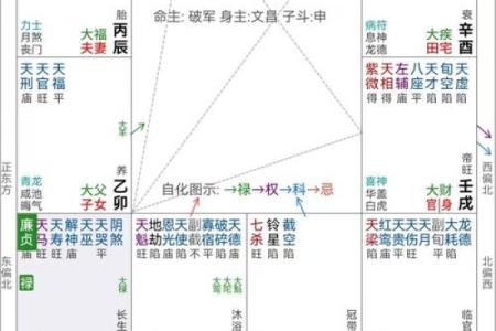 紫薇斗数地盘有什么用