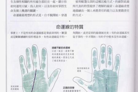 《手相学习百科》：命运线