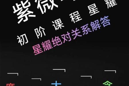 揭露紫微斗数 紫微斗数介绍？