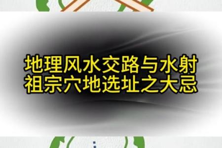 种生姜 风水