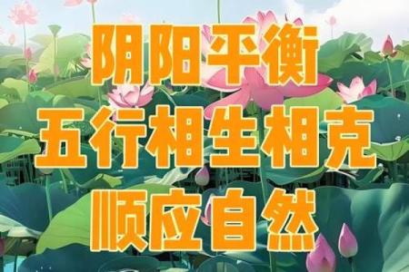 风水的技巧，带你掌握人生奥秘