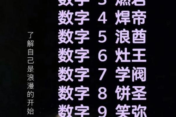生命灵数配对哪种最准