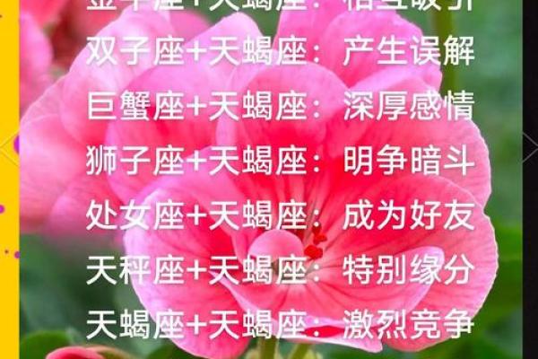 哪些星座与天蝎三观一致