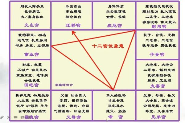 紫薇斗数象义