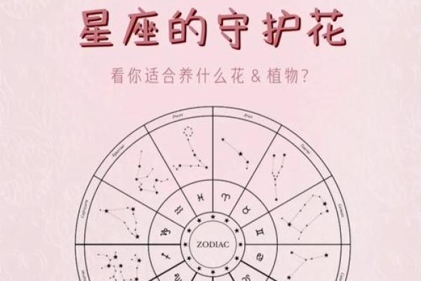 每个星座适合是么花