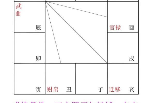 紫薇斗数禄出