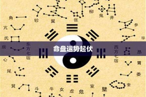 八字起伏图