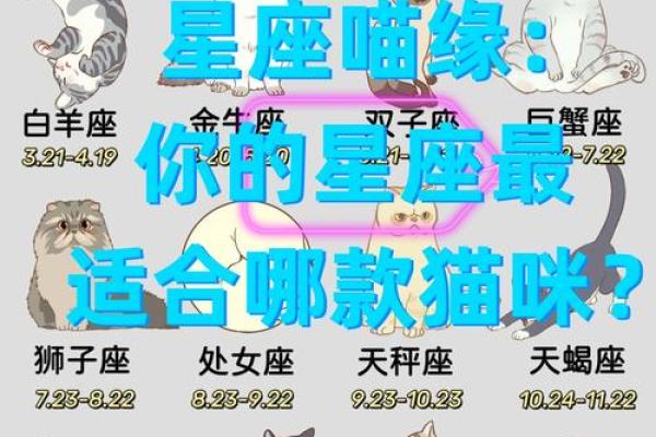 白羊座和哪个星座适合当兄弟姐妹