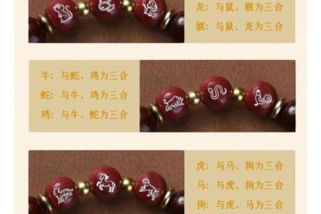 属龙和什么属相最配对 属龙和什么属相相冲