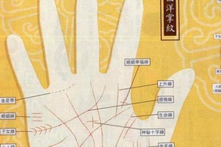 《手相学习百科》：掌丘