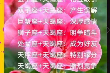 哪些星座与天蝎三观一致