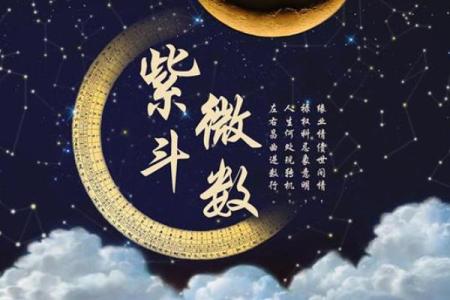 紫薇斗数太阴禄存