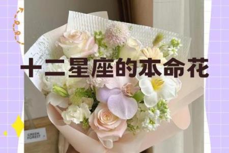 每个星座适合是么花