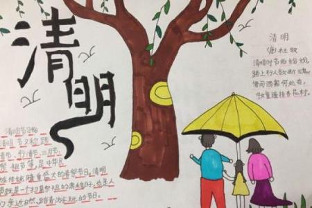 我们的节日：清明节气，做什么