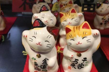 餐厅萌物语招财猫怎么摆放风水