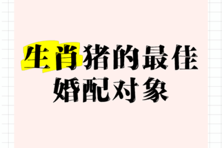 属猪的女人和什么属相最配对 属猪的女人和什么属相最配婚姻