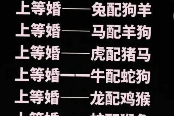 鼠狗生肖配对姻缘合适吗 鼠狗婚配的婚姻如何？