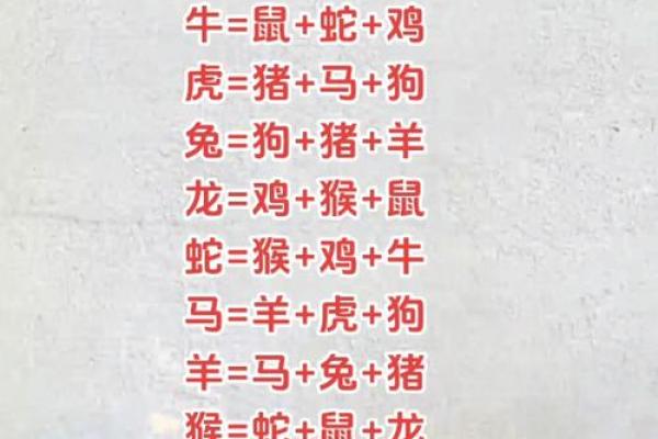 鼠狗生肖配对姻缘合适吗 鼠狗婚配的婚姻如何？