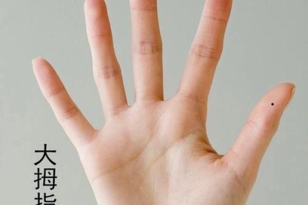 《手相学习百科》：拇指