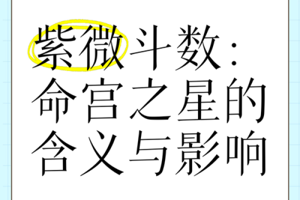 紫薇斗数文昌入命宫