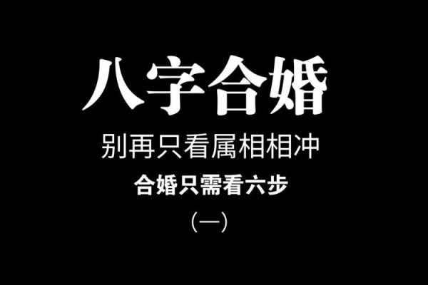八字合婚精批是什么意思