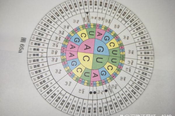 你知道八字究竟有多少种组合吗？