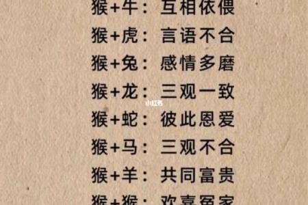 父母与子女属相配对