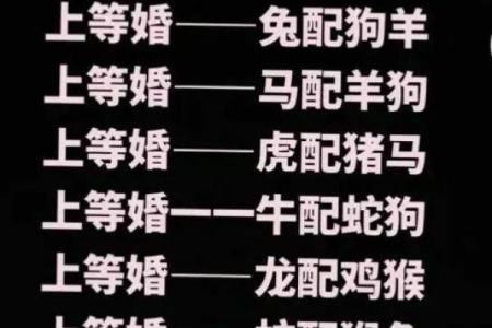 鼠狗生肖配对姻缘合适吗 鼠狗婚配的婚姻如何？
