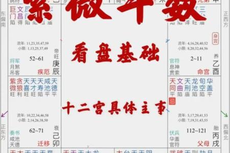 紫微斗数田宅天才 紫微斗数十二宫之田宅宫？