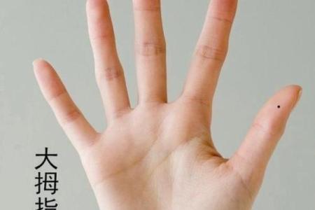 《手相学习百科》：拇指