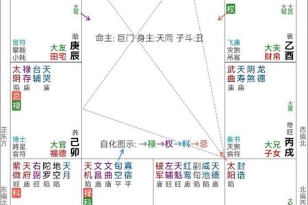 紫薇斗数文昌入命宫