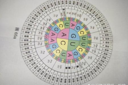 你知道八字究竟有多少种组合吗？