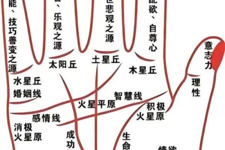 《手相学习百科》：指纹