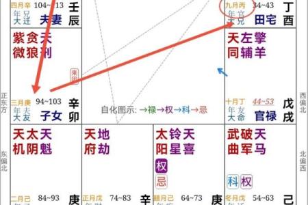 紫薇斗数赚钱