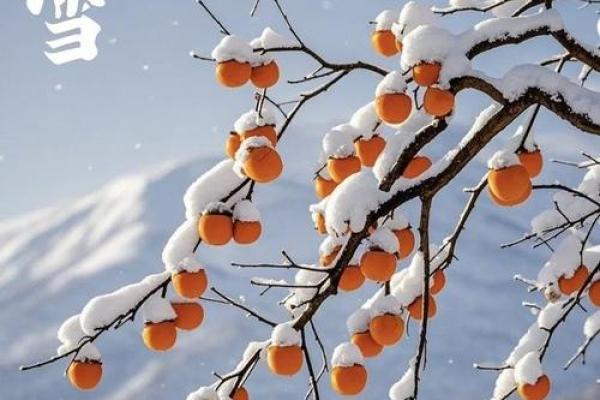 大雪节气 大雪节气有什么民俗活动