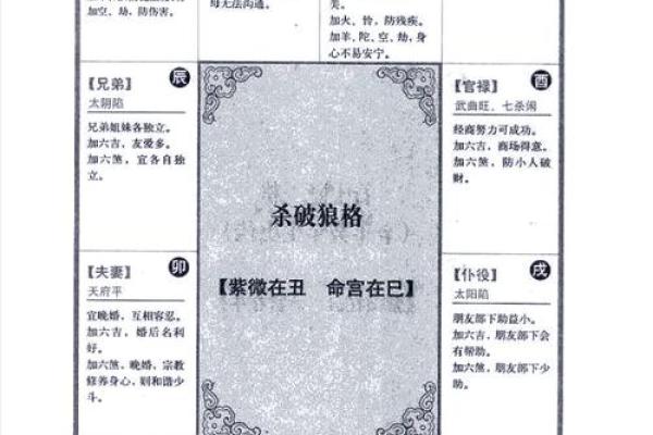 怎么理解紫薇斗数