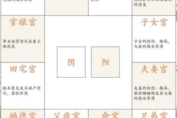 怎么理解紫薇斗数