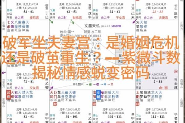 紫薇斗数交友铃星