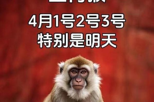 猴宝宝八字