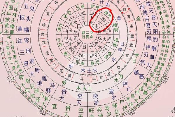 紫薇斗数基础盘