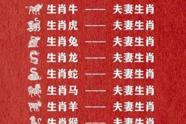 十二属相生肖配对姻缘查询