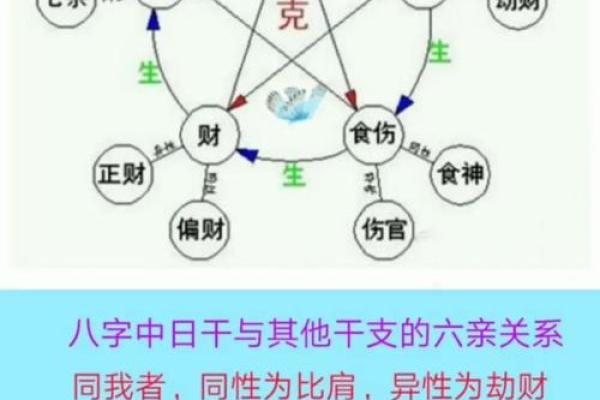 算命看阴阳有没有道理