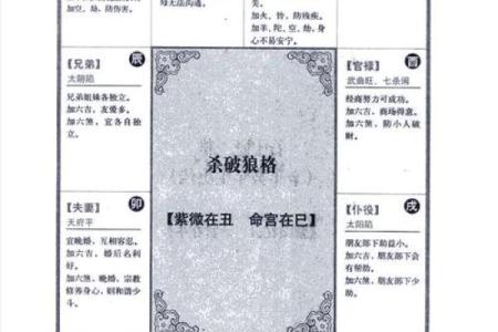 怎么理解紫薇斗数
