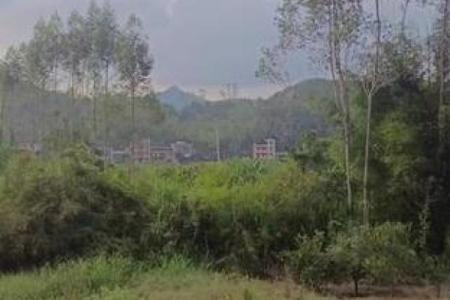 有风水吗_富贵之人住所是否是风水宝地呢