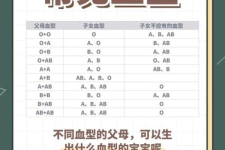 父母孩子血型对照表