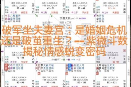 紫薇斗数交友铃星